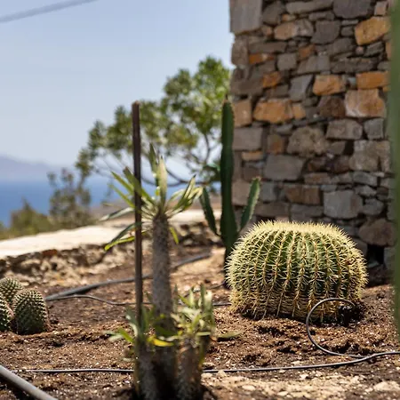 Avra House בית נופש