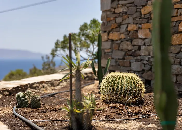 Avra House Semesterbostad